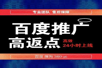 百度竞价包年推广的典型案例与效果展示